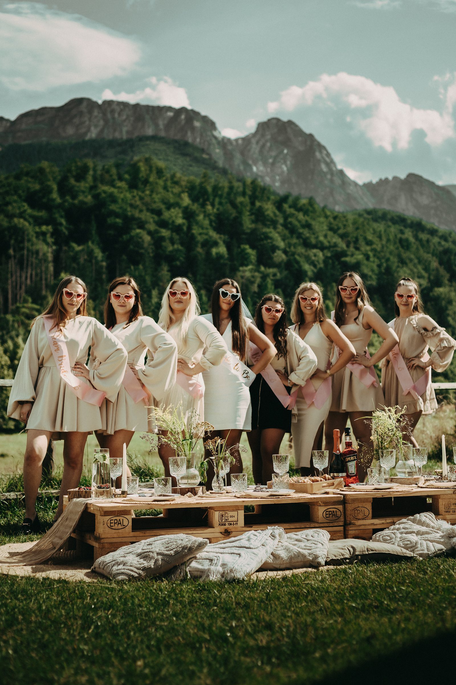 Grupa druhen na tle Tatr